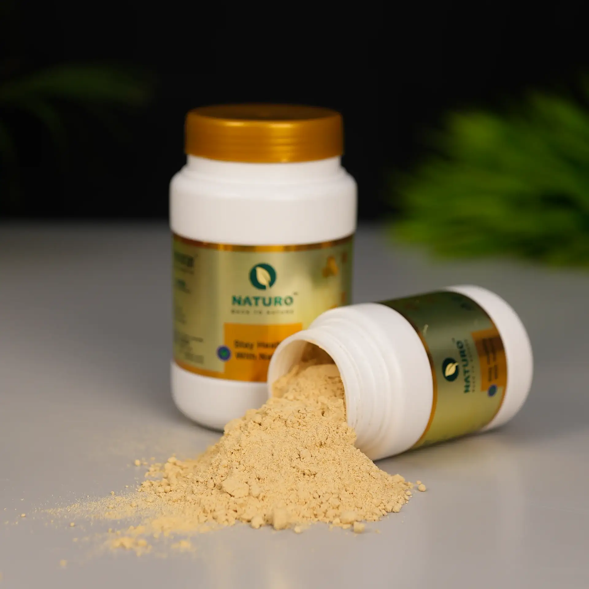 আদা গুঁড়া | Ginger Powder